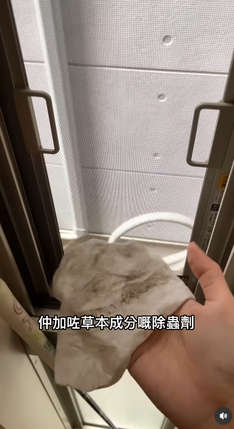 新年大掃除必睇!日本9款懶人清潔劑DAISO都買到!洗手盆清潔棒/立立令地板護理劑