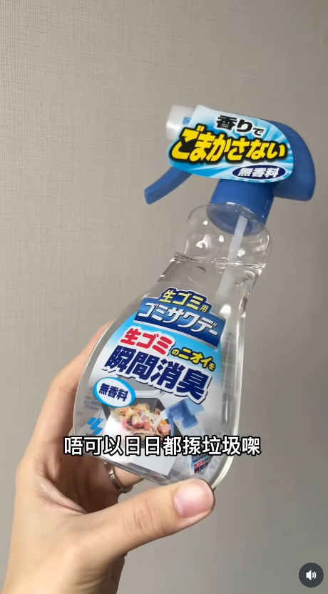 新年大掃除必睇!日本9款懶人清潔劑DAISO都買到!洗手盆清潔棒/立立令地板護理劑