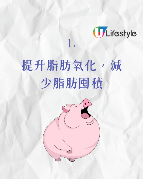 研究指每日食乳酪助穩定血糖膽固醇！醫生教路點食最健康
