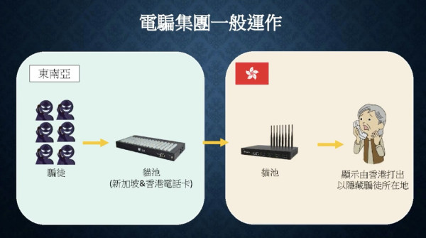 香港新加坡警方聯手搗破詐騙集團涉案億元 1880萬狂掃電話卡港租7單位用「貓池」扮香港打出