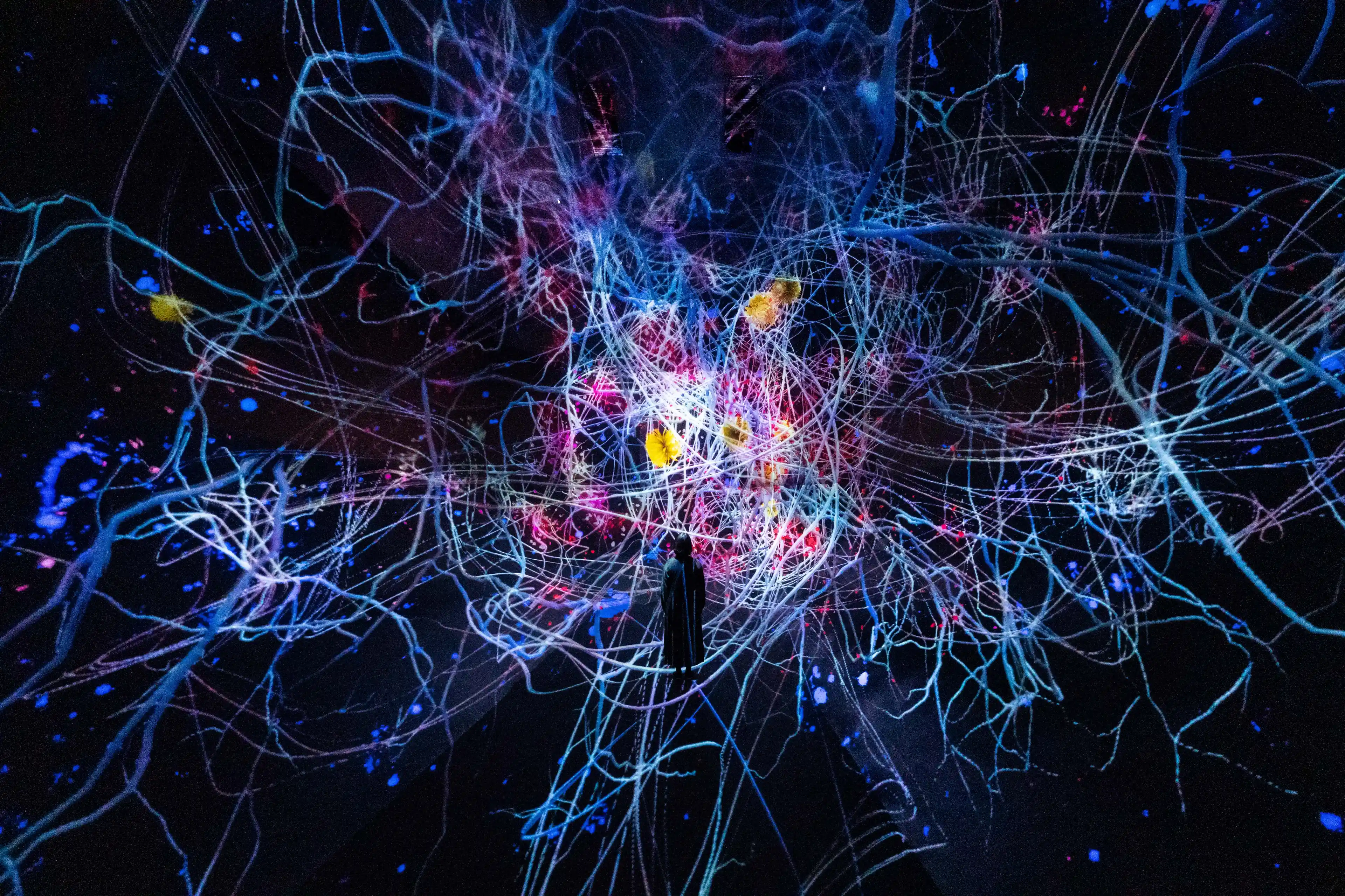 全新teamLab美術館進駐京都!2025年秋季開幕 4大必看沉浸式藝術裝置搶先公開