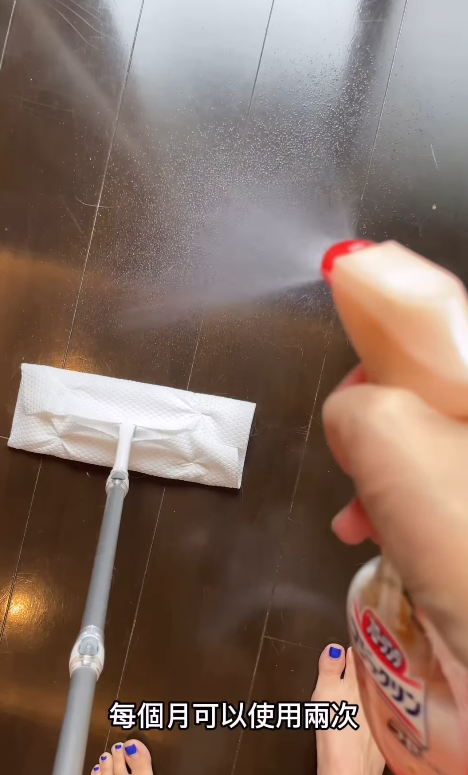 新年大掃除必睇!日本9款懶人清潔劑DAISO都買到!洗手盆清潔棒/立立令地板護理劑