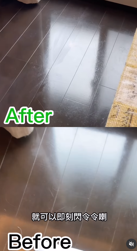 新年大掃除必睇!日本9款懶人清潔劑DAISO都買到!洗手盆清潔棒/立立令地板護理劑