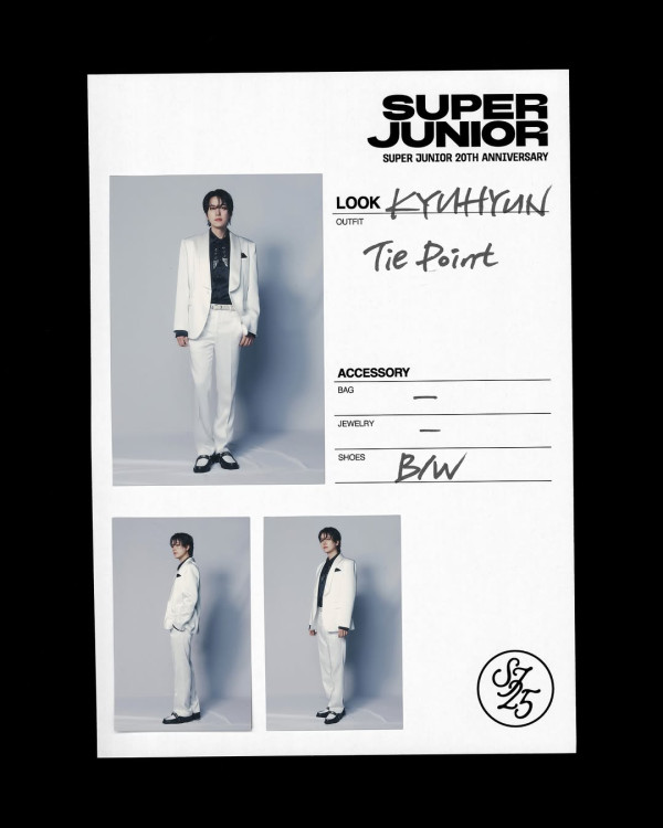 SUPER JUNIOR 20週年演唱會《SUPER SHOW 10》8月首爾開鑼 9月登陸香港 門票攻略/座位表 