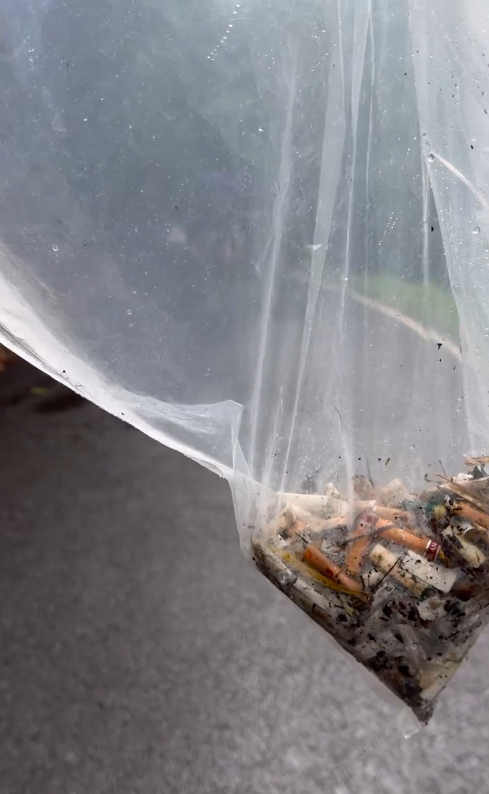 飛鵝山變「煙頭山」義工單日撿逾2000支煙蒂！漁護署：今年發出32張涉事罰單