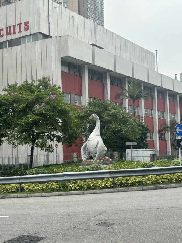 深井地標鵝型雕像離奇消失？惹網民熱議：上星期仲見到喺度