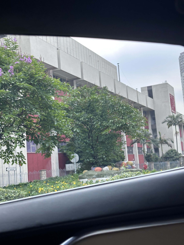 深井地標鵝型雕像離奇消失？惹網民熱議：上星期仲見到喺度