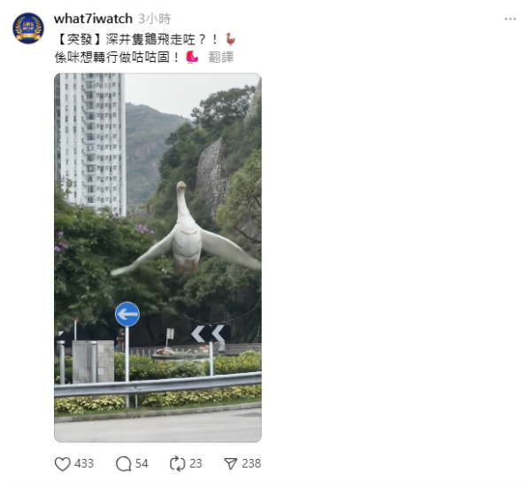 深井地標鵝型雕像離奇消失？惹網民熱議：上星期仲見到喺度