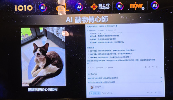 AI 普及化再加速 香港電訊夥拍 Perplexity 送一年免費 Pro 訂閱