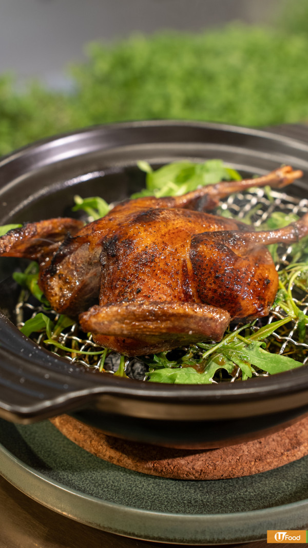 餐廳正宗拿坡里Pizza工作坊   智能農場採摘體驗／2人同行1人免費／全單85折