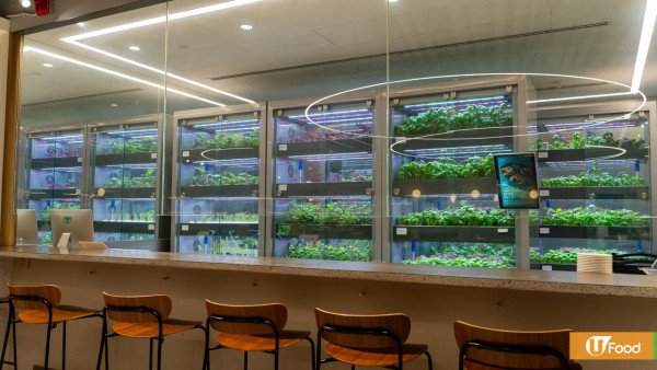 餐廳正宗拿坡里Pizza工作坊   智能農場採摘體驗／2人同行1人免費／全單85折