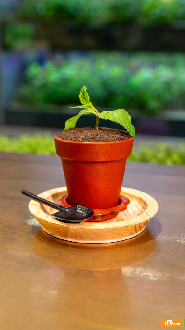 餐廳正宗拿坡里Pizza工作坊   智能農場採摘體驗／2人同行1人免費／全單85折