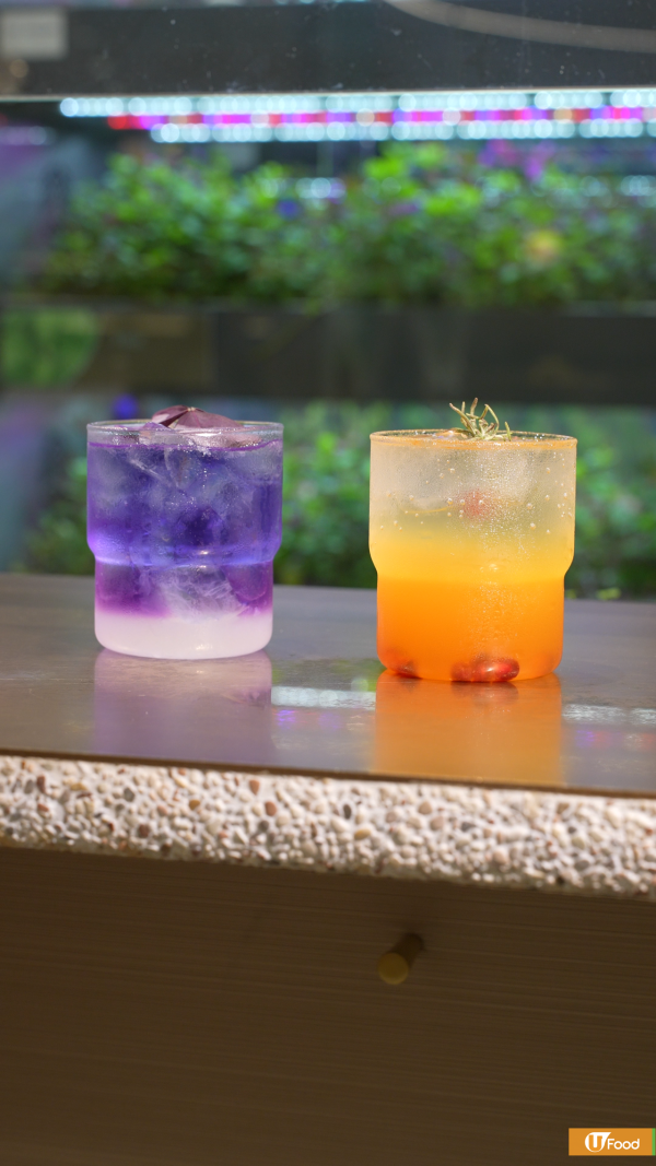 餐廳正宗拿坡里Pizza工作坊   智能農場採摘體驗／2人同行1人免費／全單85折