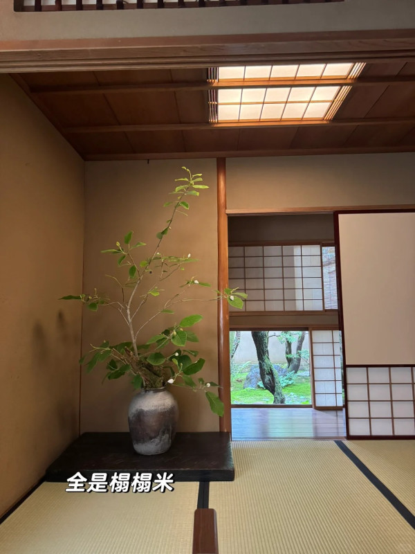 內地客遊日呻被櫻花妹腳臭到肺炎 稱住宿必須注意一事 否則空氣清新機亦難救