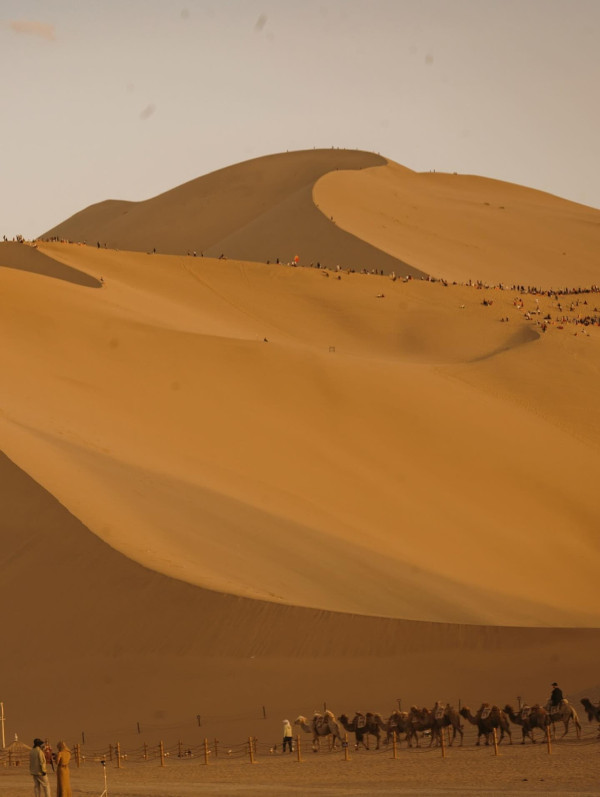 胡杏兒赤腳遊敦煌大曬長腿!與老公手拖手漫步沙漠勁恩愛