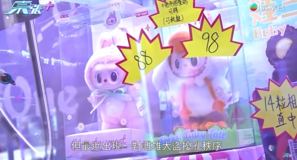 粉嶺夾公仔店遇「雌雄大盜」，節目截圖，圖片來源︰東張西望。