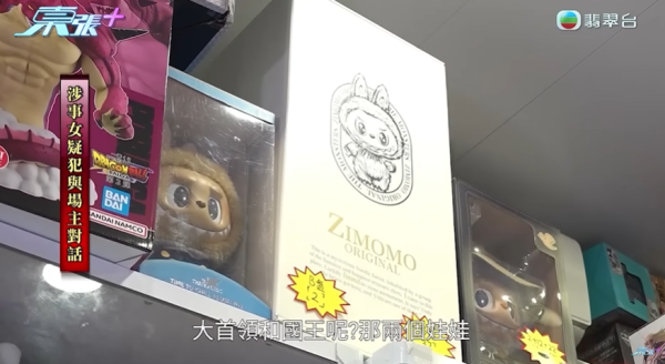 粉嶺夾公仔店遇「雌雄大盜」，節目截圖，圖片來源︰東張西望。