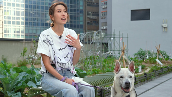 TVB一線花旦重提曾被愛犬咬傷面停工半年 含淚自責：其實我都有責任