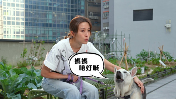 TVB一線花旦重提曾被愛犬咬傷面停工半年 含淚自責：其實我都有責任