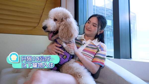 TVB一線花旦重提曾被愛犬咬傷面停工半年 含淚自責：其實我都有責任