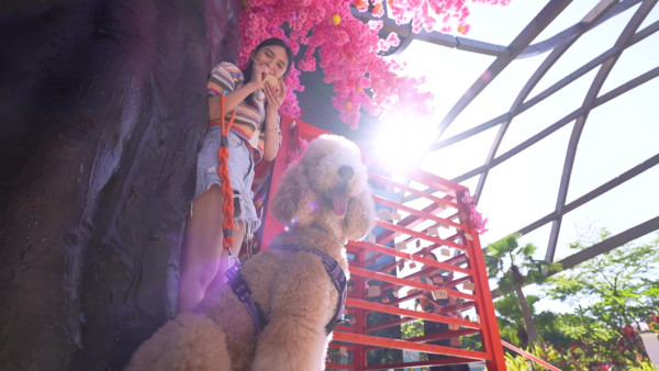 TVB一線花旦重提曾被愛犬咬傷面停工半年 含淚自責：其實我都有責任