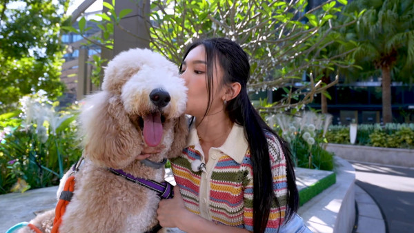 TVB一線花旦重提曾被愛犬咬傷面停工半年 含淚自責：其實我都有責任