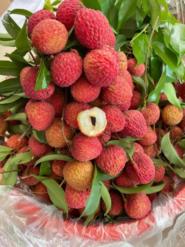 西麗果場（圖片來源：小紅書＠深圳南山西麗果場）