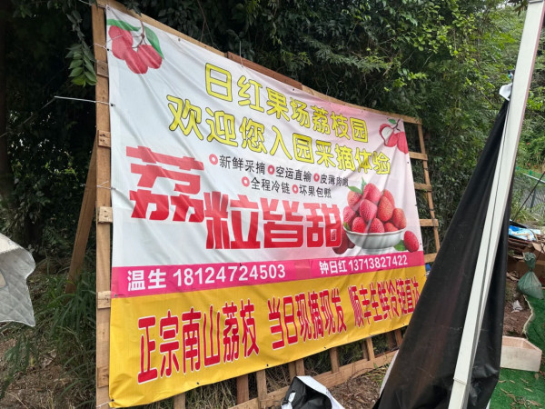 日紅果場（圖片來源：小紅書@為什麼這麼愛吃小辣椒啊）