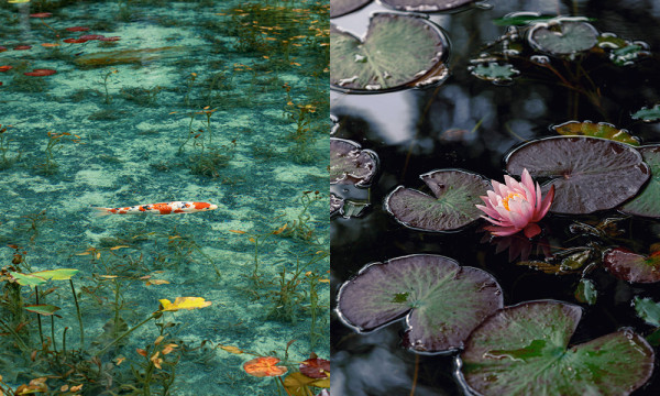 岐阜自由行!3日2夜深度遊行程,親身探索岐阜歷史與文化【附兩大必住高質酒店推介】