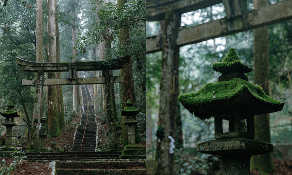 岐阜自由行!3日2夜深度遊行程,親身探索岐阜歷史與文化【附兩大必住高質酒店推介】