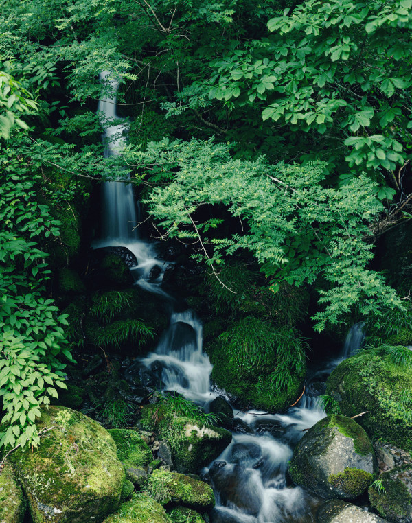 岐阜自由行!3日2夜深度遊行程,親身探索岐阜歷史與文化【附兩大必住高質酒店推介】