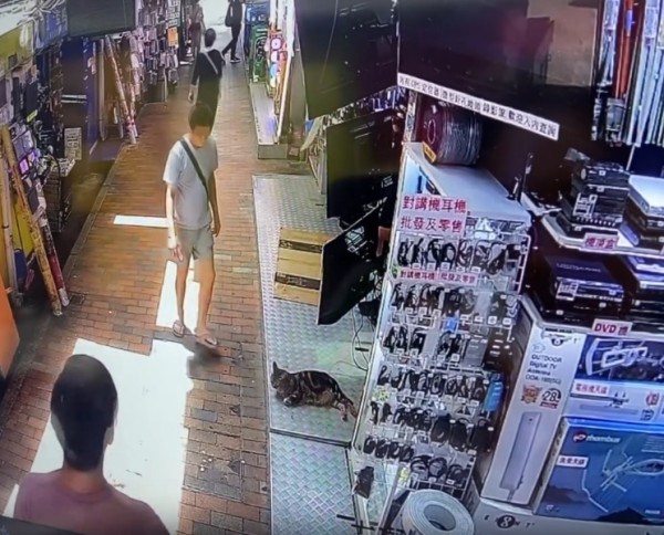 大叔的愛！專程擺底$200畀貓店長買罐罐「摸頭殺」超暖心