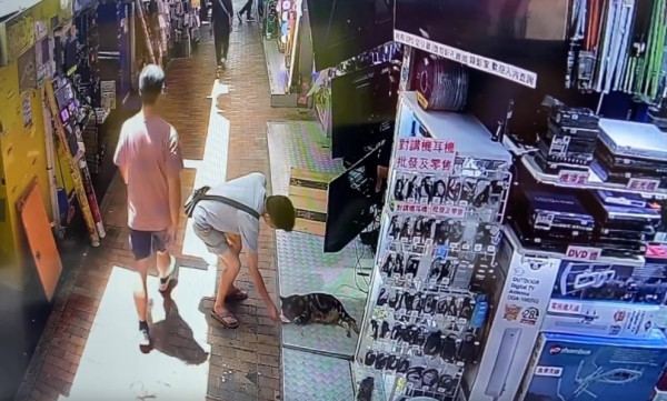大叔的愛！專程擺底$200畀貓店長買罐罐「摸頭殺」超暖心