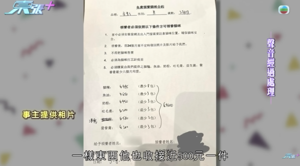 貓舍倒閉好心人領養貓bb 被迫做1事疑被詐騙！最後貓貓患病幾日後離世 網友：為咗錢咩都做得出