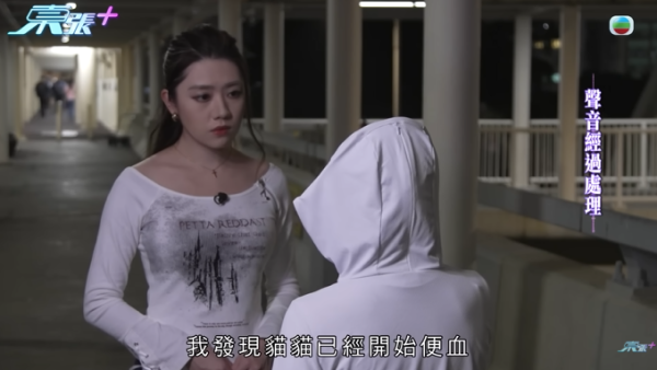 貓舍倒閉好心人領養貓bb 被迫做1事疑被詐騙！最後貓貓患病幾日後離世 網友：為咗錢咩都做得出