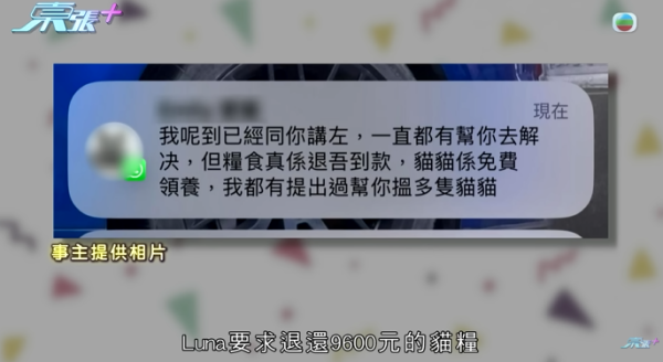 貓舍倒閉好心人領養貓bb 被迫做1事疑被詐騙！最後貓貓患病幾日後離世 網友：為咗錢咩都做得出