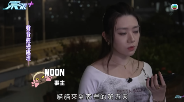 貓舍倒閉好心人領養貓bb 被迫做1事疑被詐騙！最後貓貓患病幾日後離世 網友：為咗錢咩都做得出