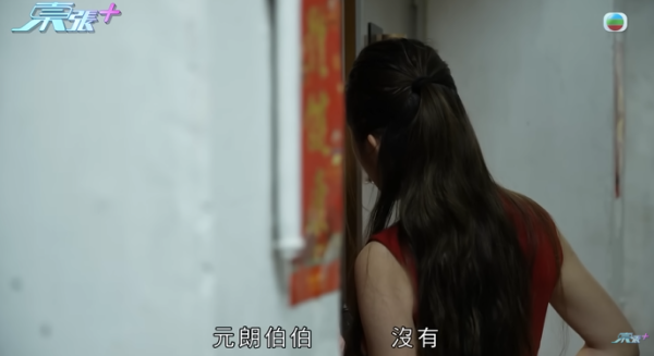 貓舍倒閉好心人領養貓bb 被迫做1事疑被詐騙！最後貓貓患病幾日後離世 網友：為咗錢咩都做得出