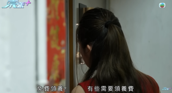 貓舍倒閉好心人領養貓bb 被迫做1事疑被詐騙！最後貓貓患病幾日後離世 網友：為咗錢咩都做得出