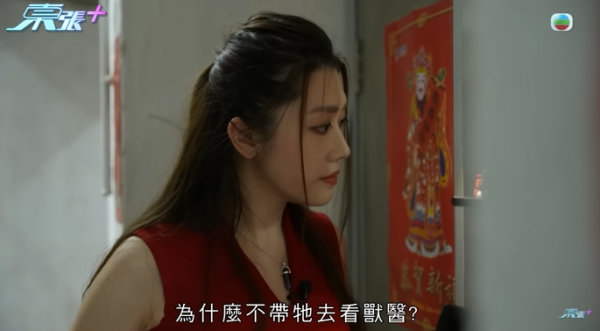 貓舍倒閉好心人領養貓bb 被迫做1事疑被詐騙！最後貓貓患病幾日後離世 網友：為咗錢咩都做得出