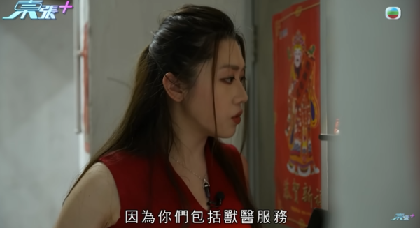 貓舍倒閉好心人領養貓bb 被迫做1事疑被詐騙！最後貓貓患病幾日後離世 網友：為咗錢咩都做得出