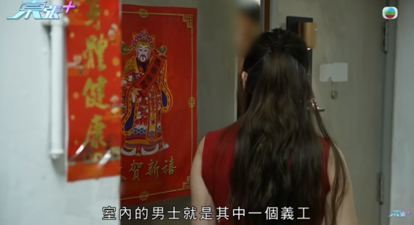 貓舍倒閉好心人領養貓bb 被迫做1事疑被詐騙！最後貓貓患病幾日後離世 網友：為咗錢咩都做得出