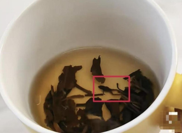 內地手搖店「奈雪的茶」捲食安風波 被指茶內藏原隻蛙屍：真的太噁心 