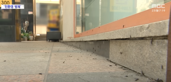 遊韓注意|首爾再爆蟲蟲危機!「愛情蟲」成對出沒 附防蟲5大方法!避免著呢種顏色衫?