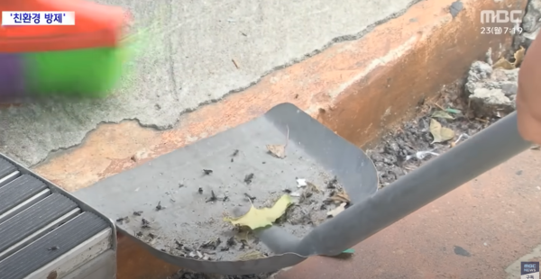 遊韓注意|首爾再爆蟲蟲危機!「愛情蟲」成對出沒 附防蟲5大方法!避免著呢種顏色衫?