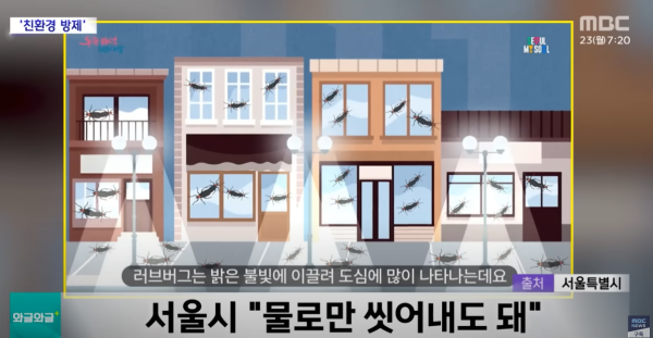 遊韓注意|首爾再爆蟲蟲危機!「愛情蟲」成對出沒 附防蟲5大方法!避免著呢種顏色衫?