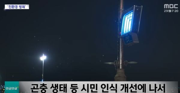 遊韓注意|首爾再爆蟲蟲危機!「愛情蟲」成對出沒 附防蟲5大方法!避免著呢種顏色衫?