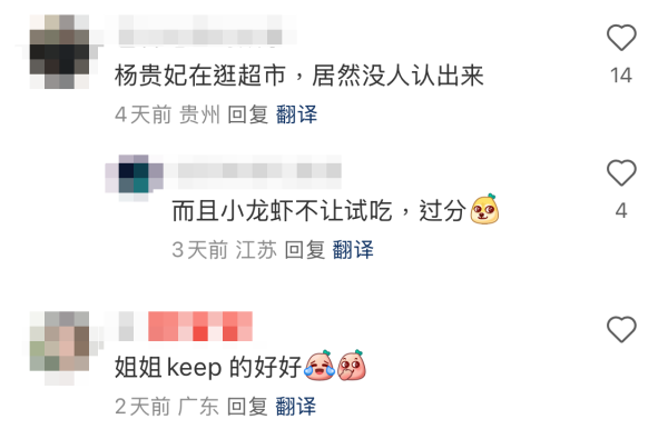 50歲向海嵐突然復出做KOL！拍片介紹內地超市做一事盡顯慳家本色？網民：質素low到爆