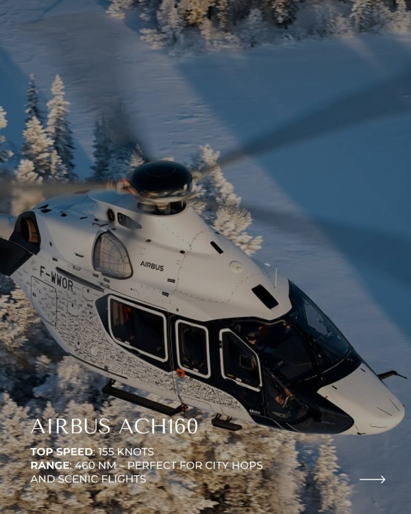 英國企業豪擲時薪900港元徵「貓管家」照顧CEO愛寵！專責陪玩/梳毛/餵食/購物 