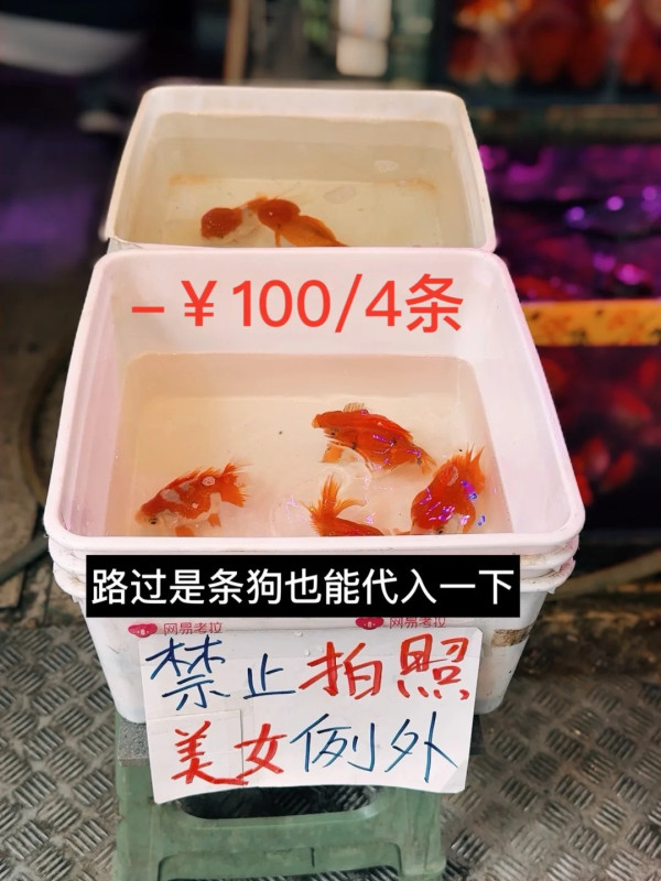 內地女遊港搭地鐵因一事挨轟 呻非常生氣 網民教這樣反擊?